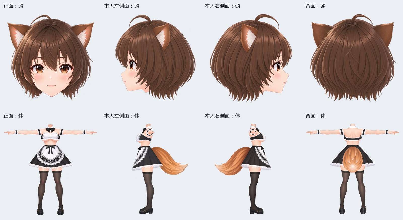 B案の頭部と体の4方向画像